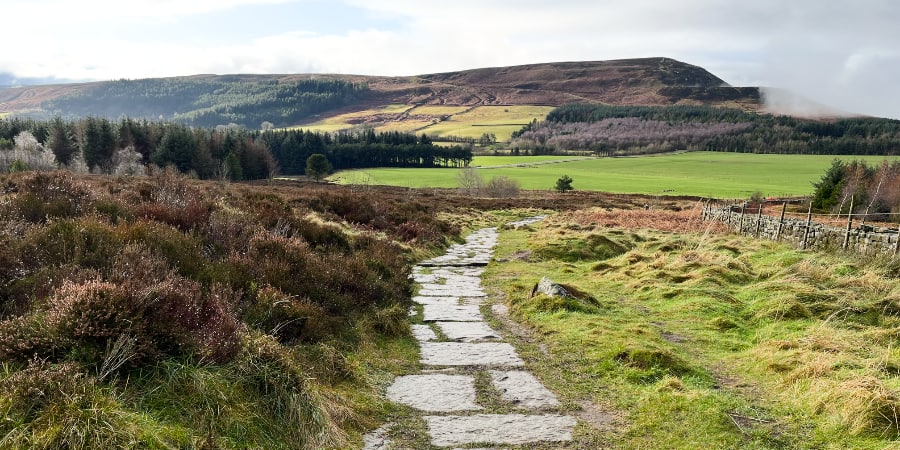 A stone path in rugged countryside.