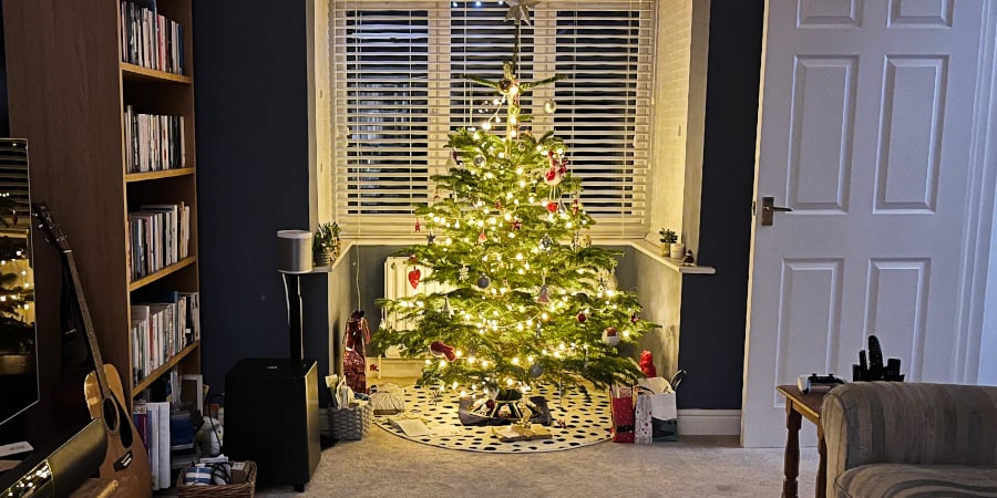 Christmas tree lit up in a window with closed white slatted blinds behind.